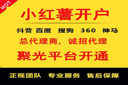 某行业巨头如何利用百度推广服务费提升业绩